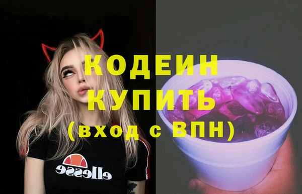 apvp Ельня