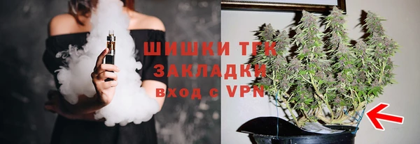 apvp Ельня