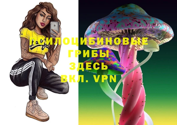 прущая мука Елизово