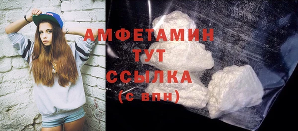 apvp Ельня