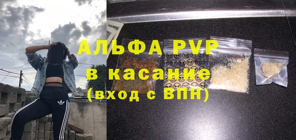 apvp Ельня
