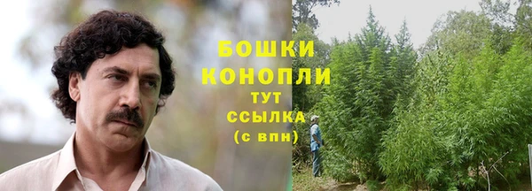 дживик Заволжск